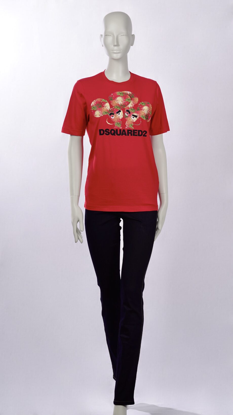 DDC00569